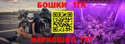крисы Краснознаменск