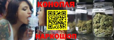крисы Краснознаменск