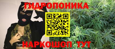 сатива Краснокаменск