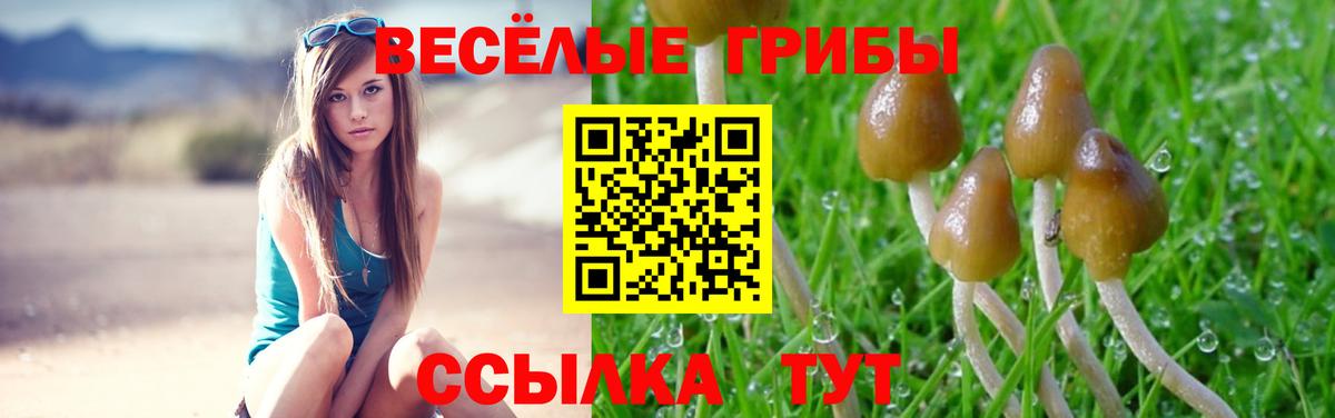 Псилоцибиновые грибы прущие грибы Касимов