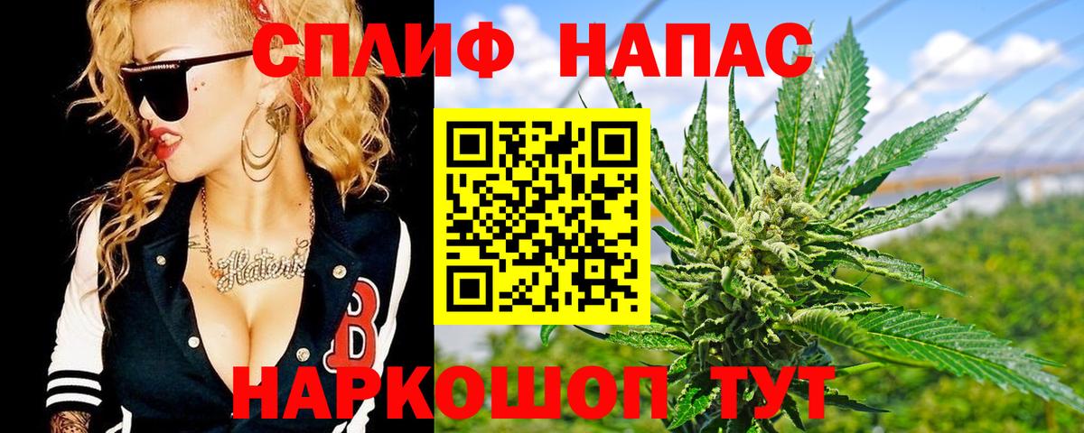 Каннабис OG Kush  Вход с VPN  Конопля семена  Касимов 